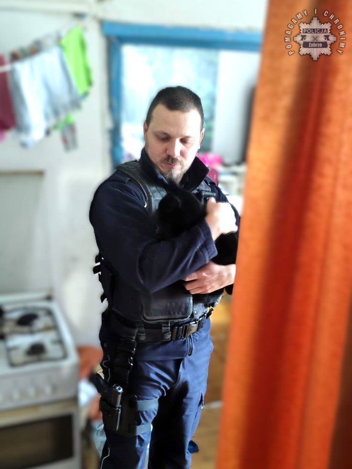 Dzięki interwencji służb porzucony kot znalazł opiekę