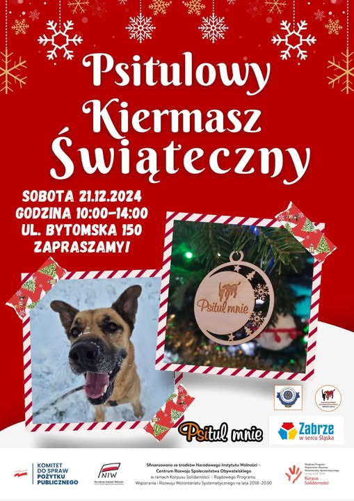 Przed nami kiermasz świąteczny w Psitulu, a jego podopieczni piszą listy do Mikołaja!