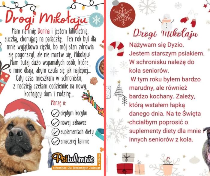 Przed nami kiermasz świąteczny w Psitulu, a jego podopieczni piszą listy do Mikołaja!