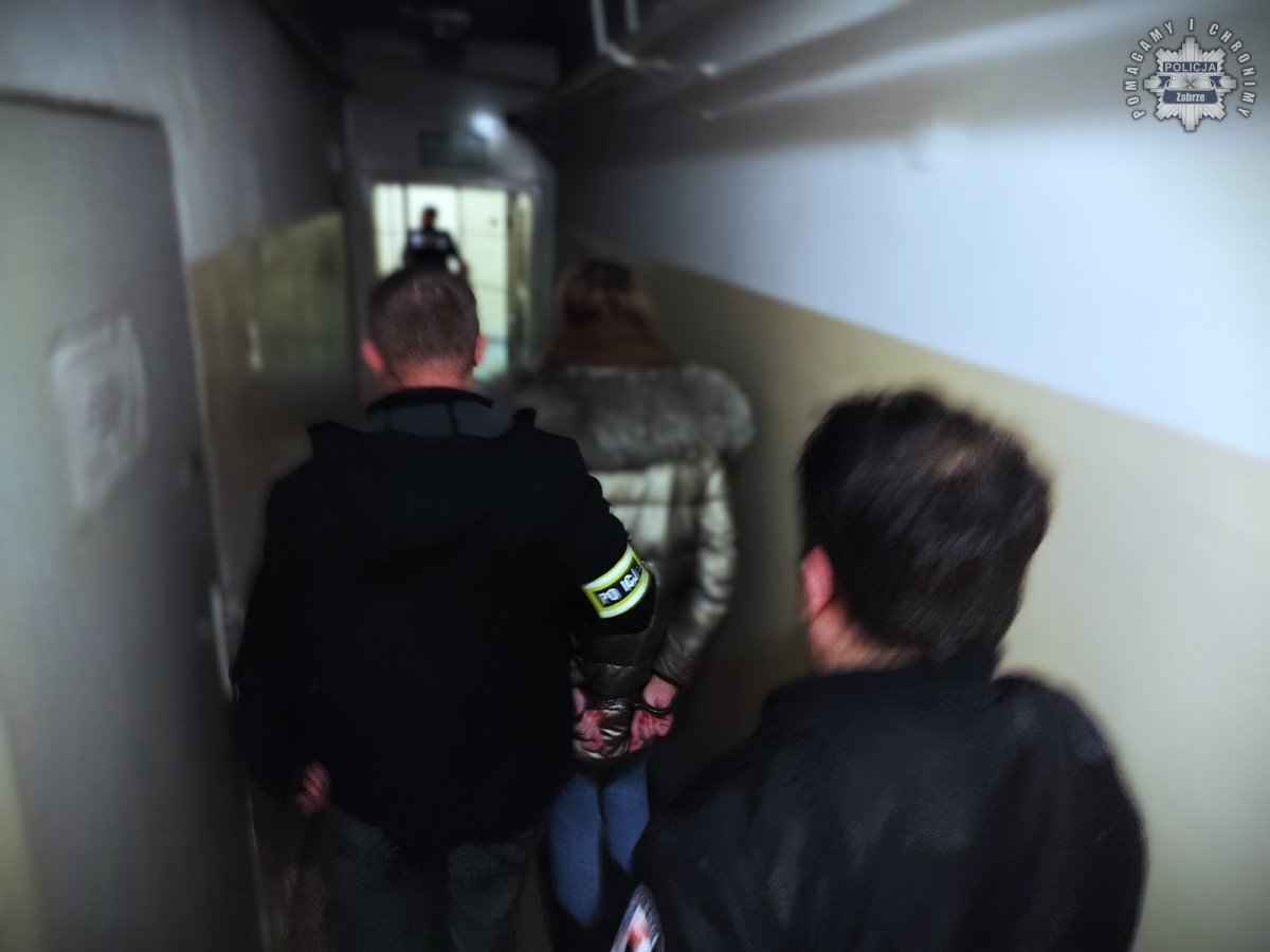 Defraudacja w Zabrzu: Kobieta przywłaszczyła 6 milionów złotych