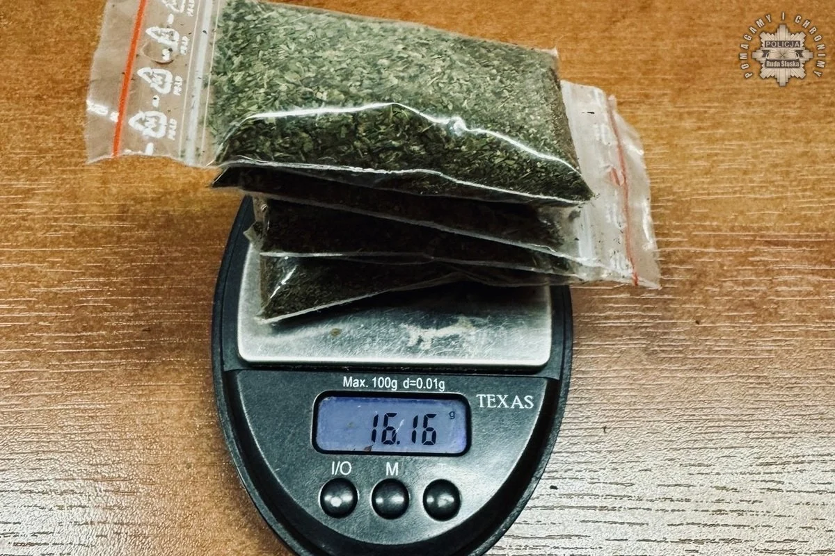 Policjanci zlikwidowali domową uprawę marihuany w Rudzie Śląskiej