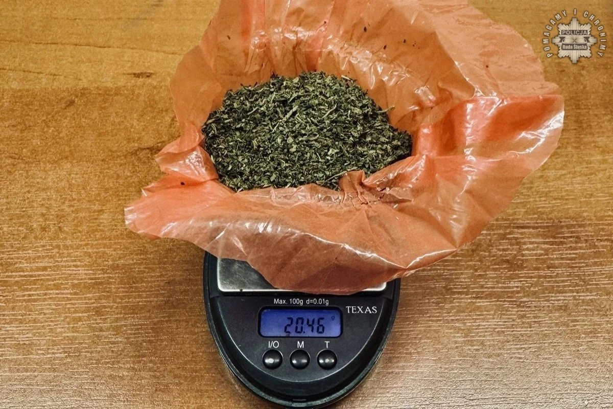 Policjanci zlikwidowali domową uprawę marihuany w Rudzie Śląskiej