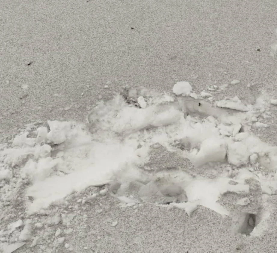 Mieszkańcy zaniepokojeni zanieczyszczeniami z gaszenia hałdy. Proszą władze o interwencję