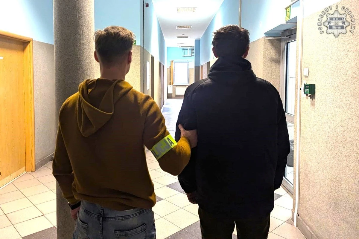 Strzelał do kota z wiatrówki – 32-latek z Bierunia stanie przed sądem