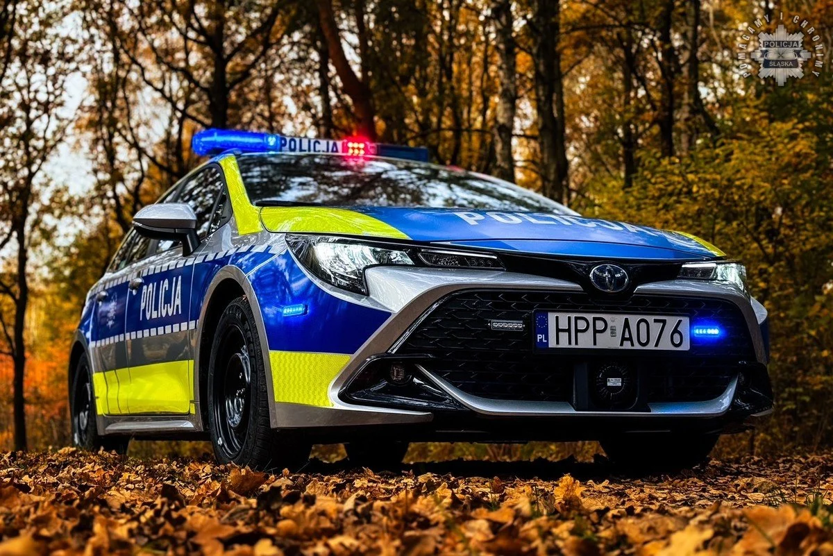 Święto Niepodległości na drodze – dbaj o bezpieczeństwo w podróży