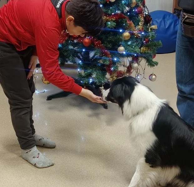 Zajęcia z dogoterapii – dzieci z Siemianowic rozwijają umiejętności społeczne