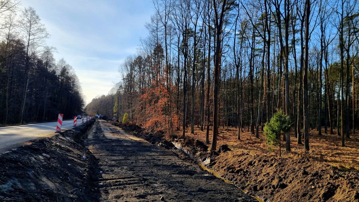 Tychy zyskają nowy szlak pieszo-rowerowy - inwestycja za 9,5 mln zł!