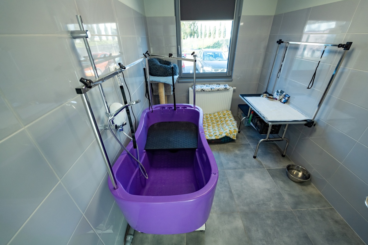 Nowa przestrzeń dla zwierząt – schronisko w Tychach po rozbudowie! 3