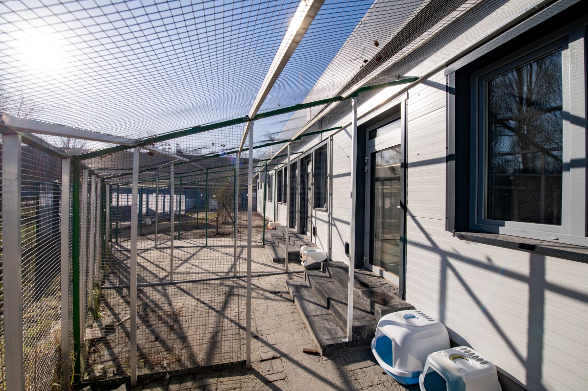 Nowa przestrzeń dla zwierząt – schronisko w Tychach po rozbudowie! 5