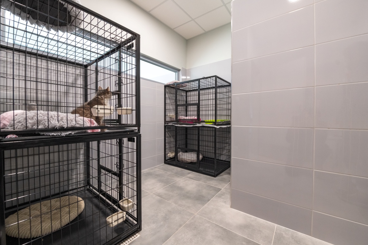 Nowa przestrzeń dla zwierząt – schronisko w Tychach po rozbudowie! 9