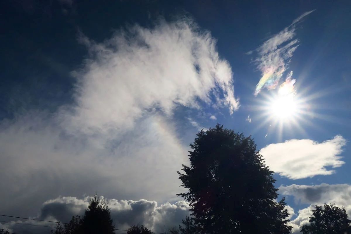 Warsztaty w Rybniku o adaptacji do zmian klimatu – twoje zdanie ma znaczenie!