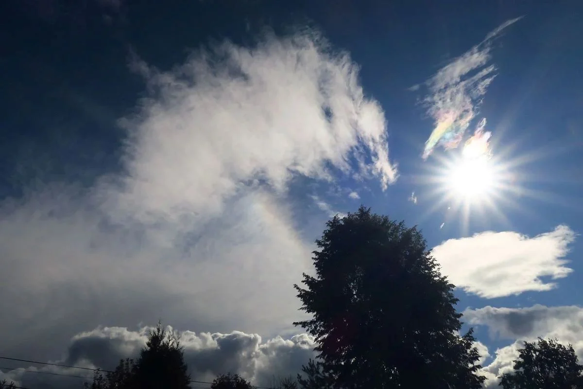 Warsztaty w Rybniku o adaptacji do zmian klimatu – twoje zdanie ma znaczenie!