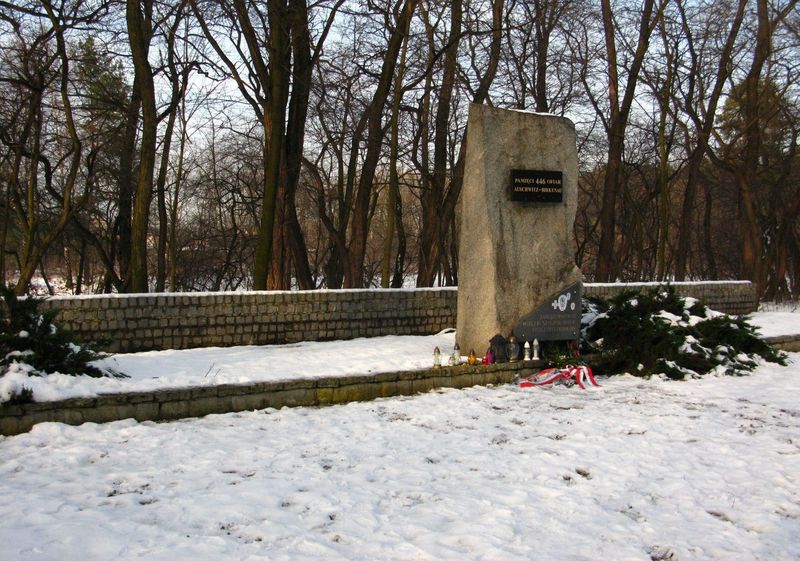 Rybnik upamiętni ofiary Marszu Śmierci - akcja "Rozświetlmy pamięć"