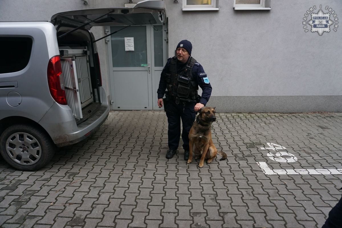 Warsztaty tłumaczeniowe w Rybniku – filologia na służbie w Policji 2