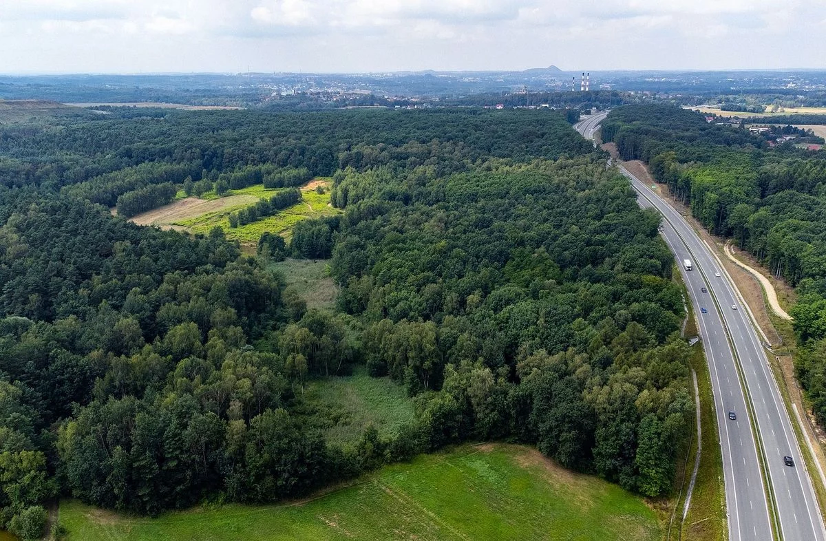 Nowy lider Centrum Zielonej Energii: Adam Ciekański obejmie funkcję prezesa