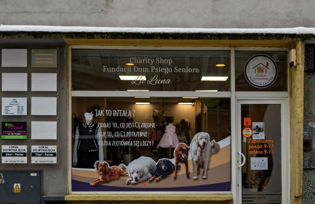 Nowe miejsce na mapie Bytomia – fundacja La Luna wspiera psich seniorów!
