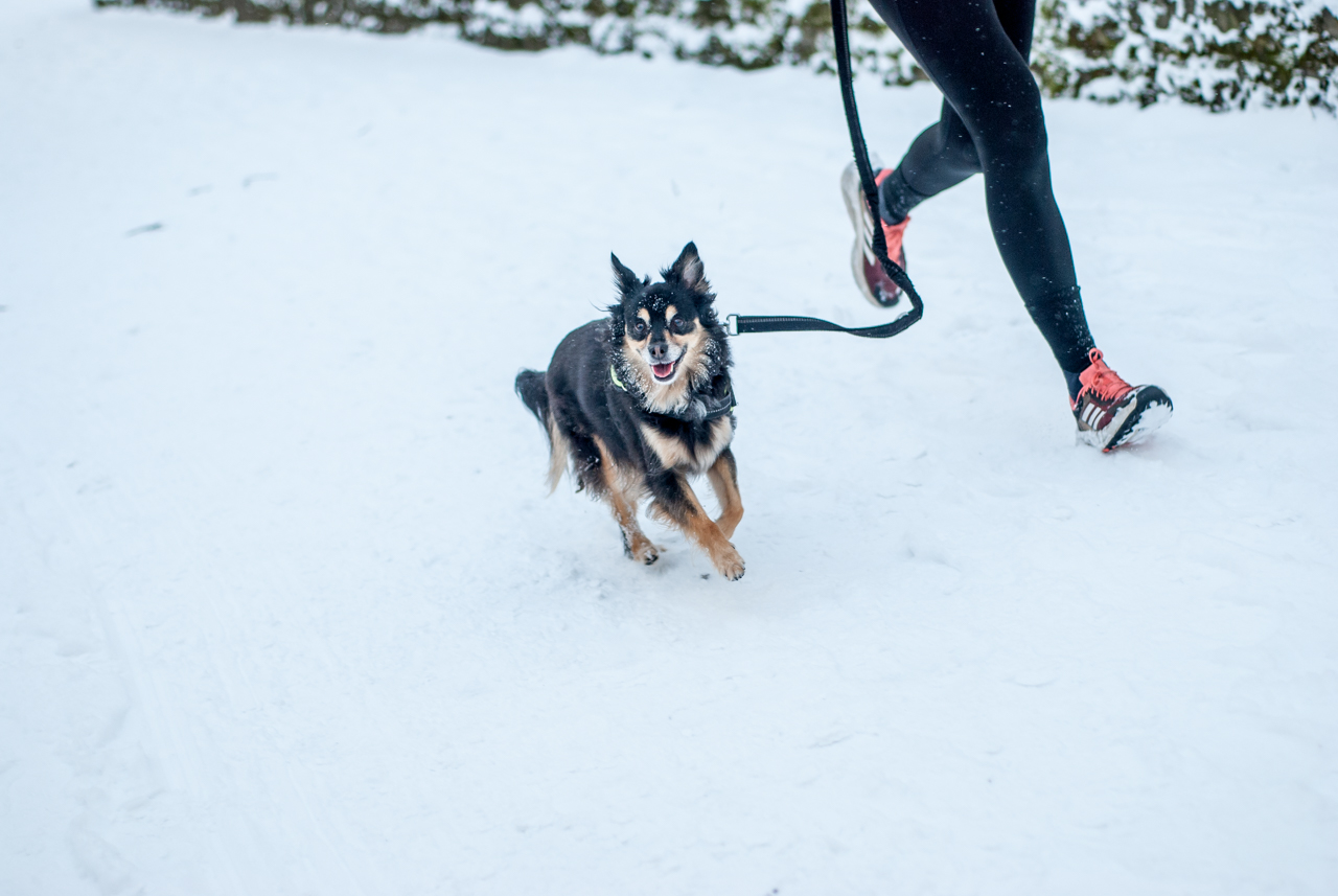 Pierwszy parkrun Katowice 2025 109