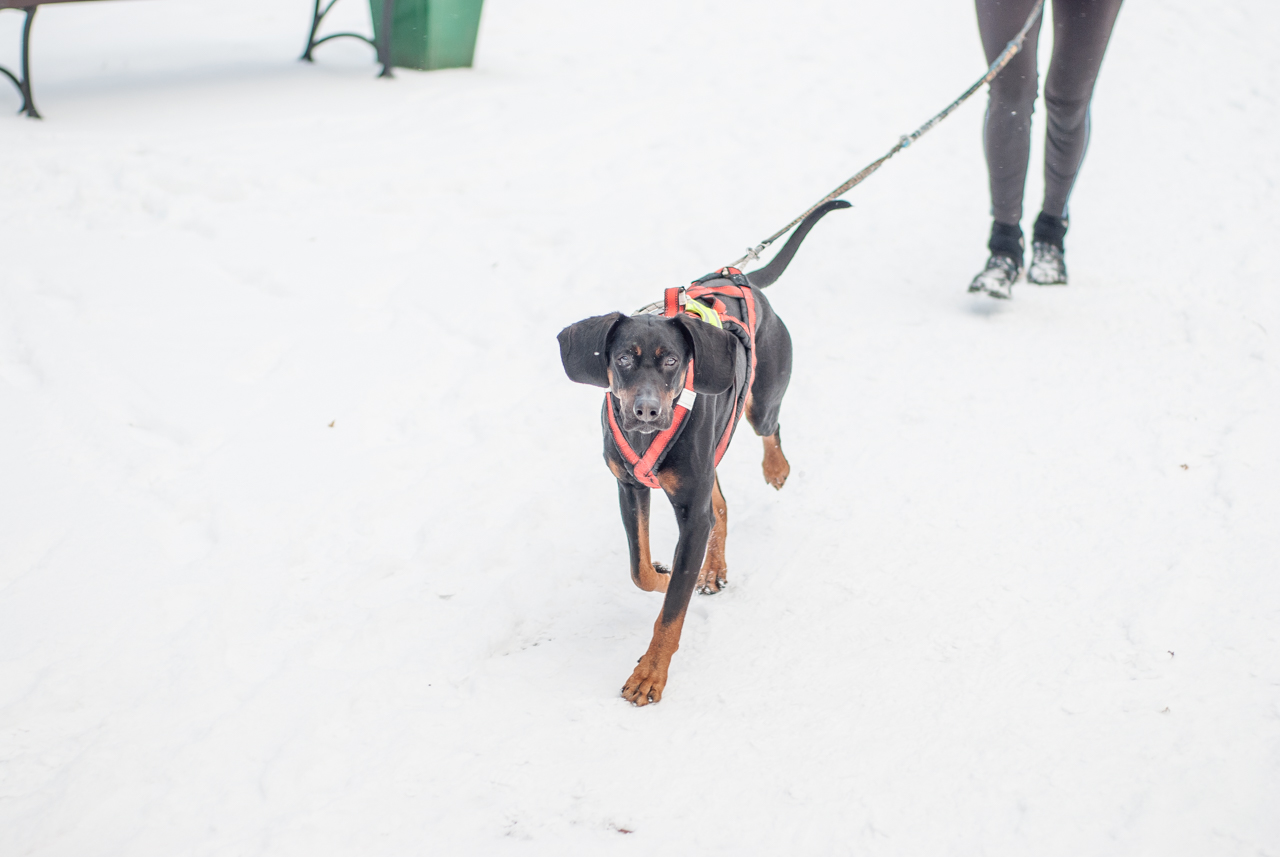 Pierwszy parkrun Katowice 2025 144