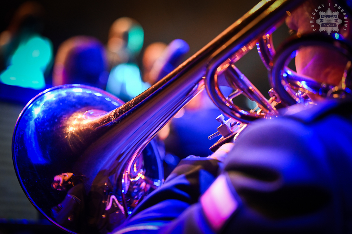 Bezpieczny senior - koncert 81