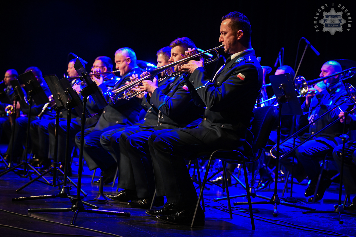 Bezpieczny senior: seminarium i koncert w Katowicach