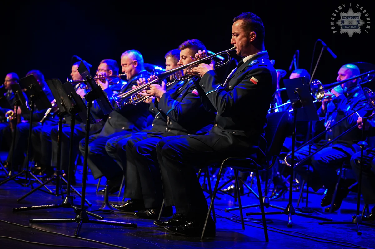 Bezpieczny senior: seminarium i koncert w Katowicach