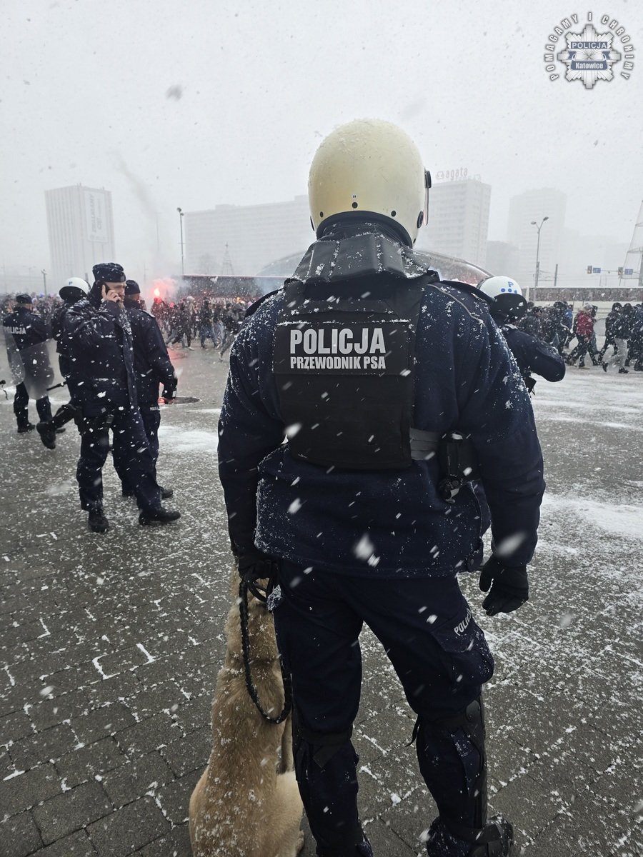Policja interweniowała podczas turnieju piłkarskiego w Spodku