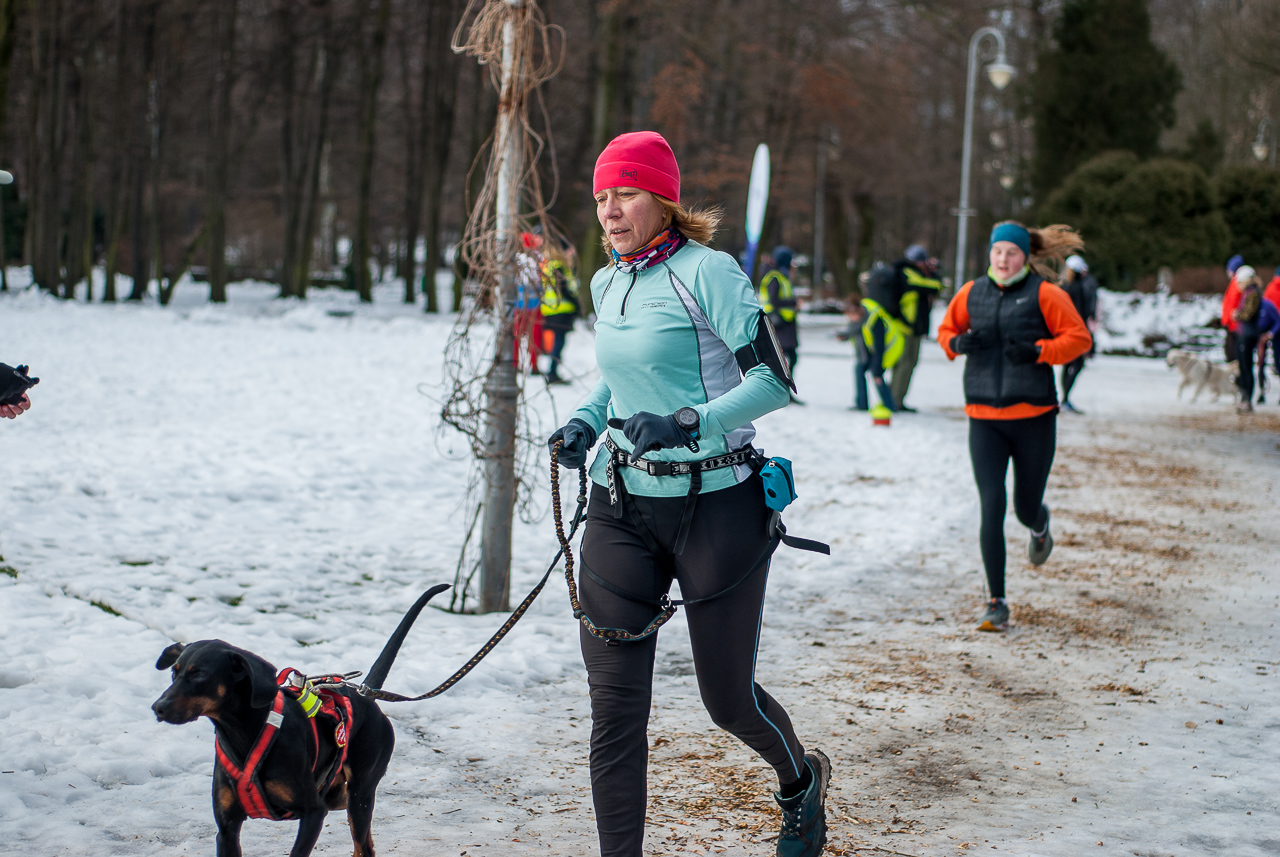 Parkrun biegł razem z WOŚP 23