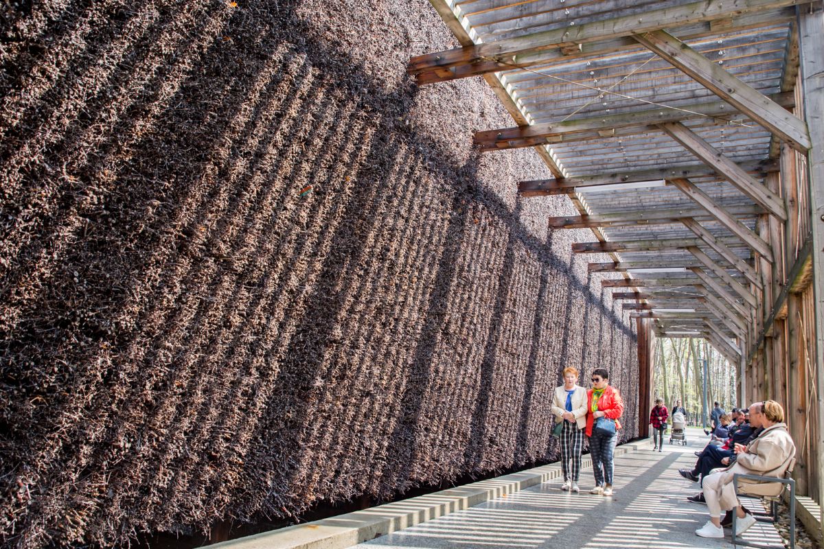 Modernizacja Parku Zadole zakończona – nowe atrakcje dla mieszkańców gotowe