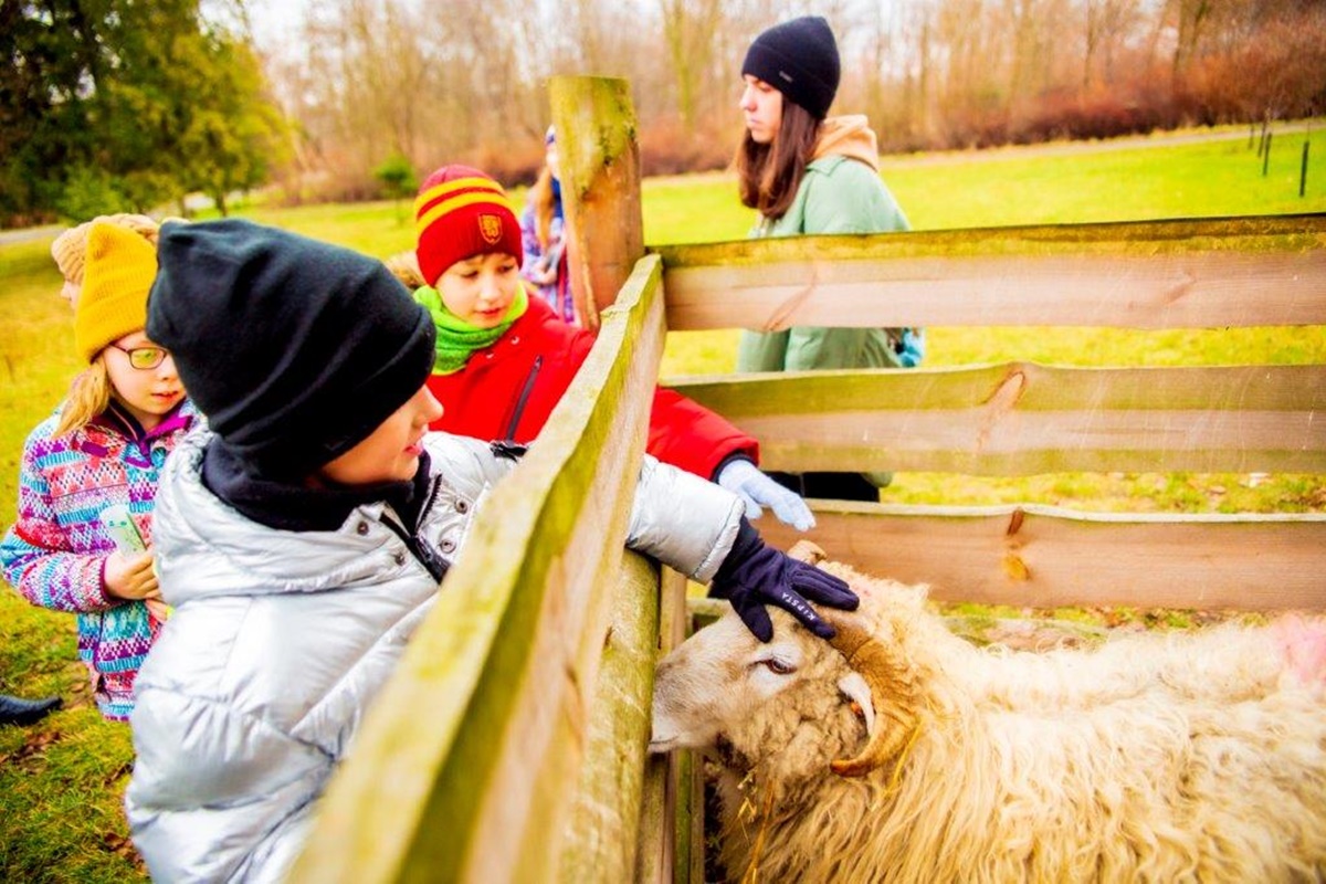 Etnoferie 2025 w Chorzowskim Skansenie. Poznaj tradycję i kulturę