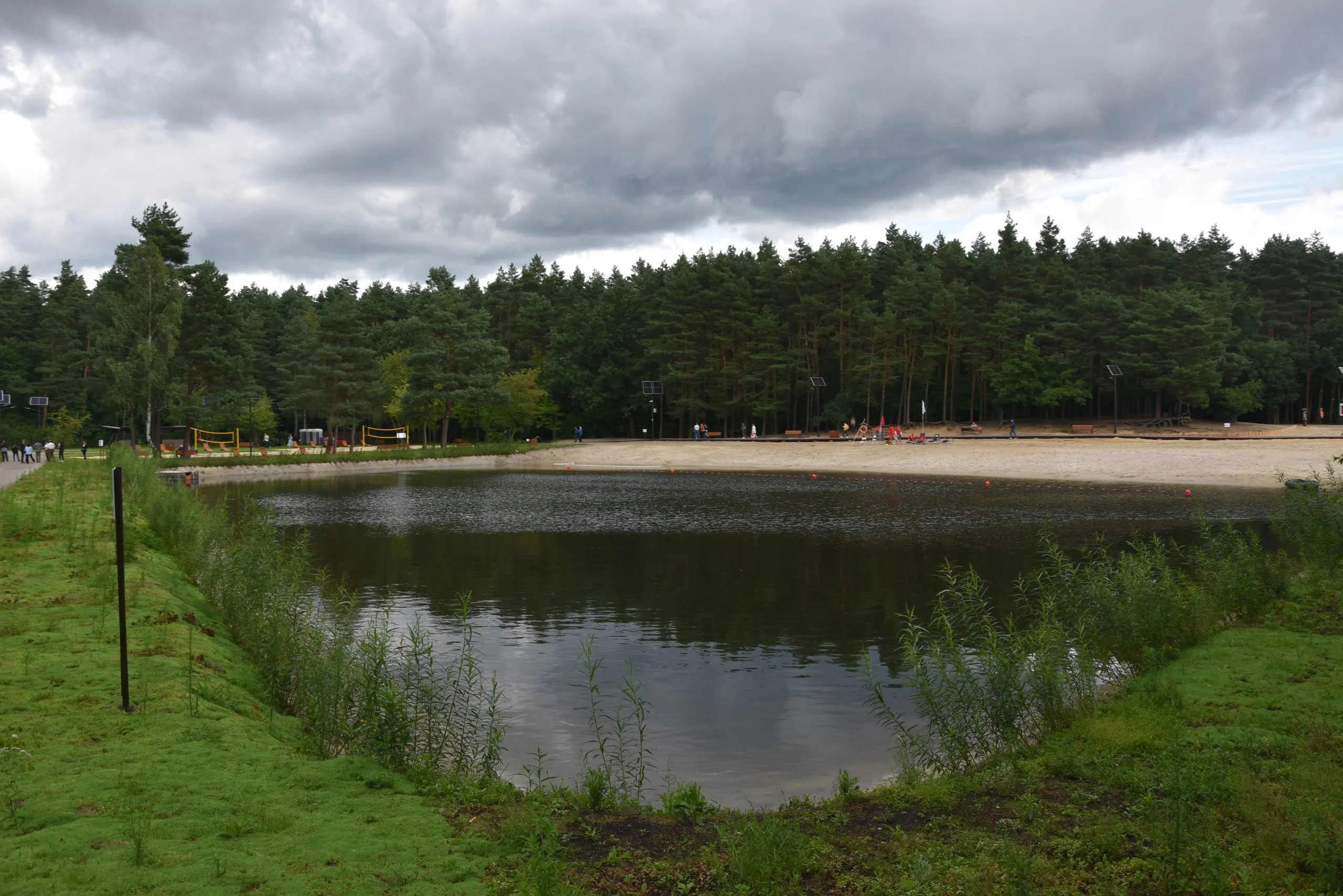 Lasy społeczne wokół Katowic – nowa funkcja dla zielonych płuc regionu