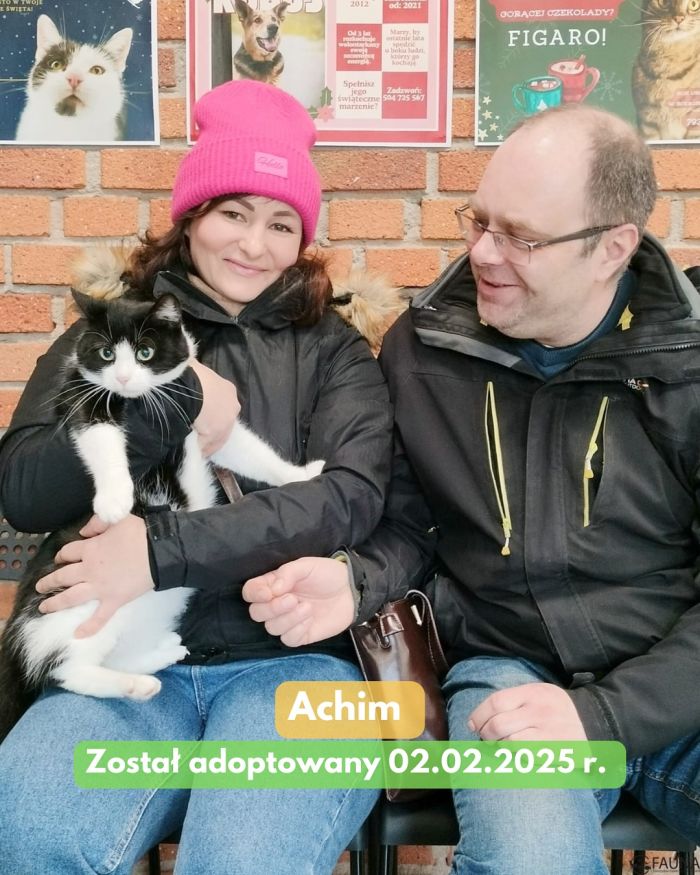 adopcje 4