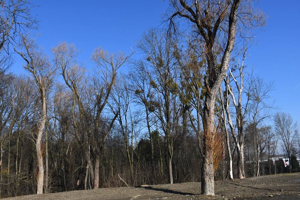 Briefing prasowy - kolejny etap budowy trasy N-S 43