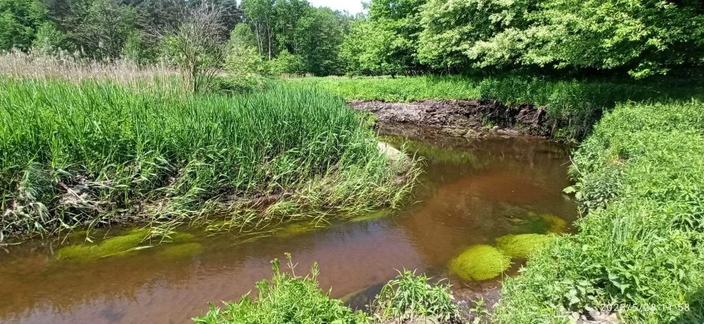 Powraca temat powstania kolejnego użytku ekologicznego w naszym mieście!