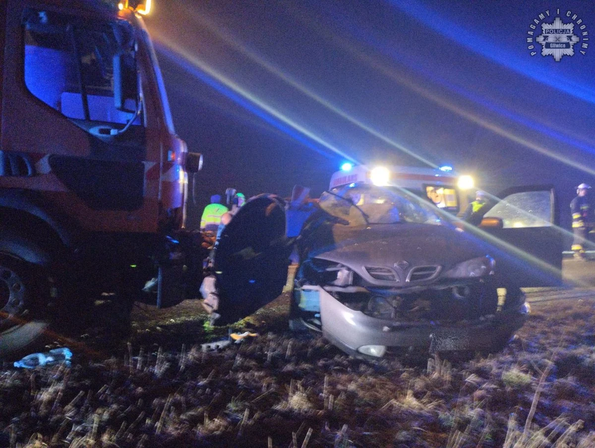 Tragiczny wypadek w Wilczej. Kierowca nissana zginął po czołowym zderzeniu