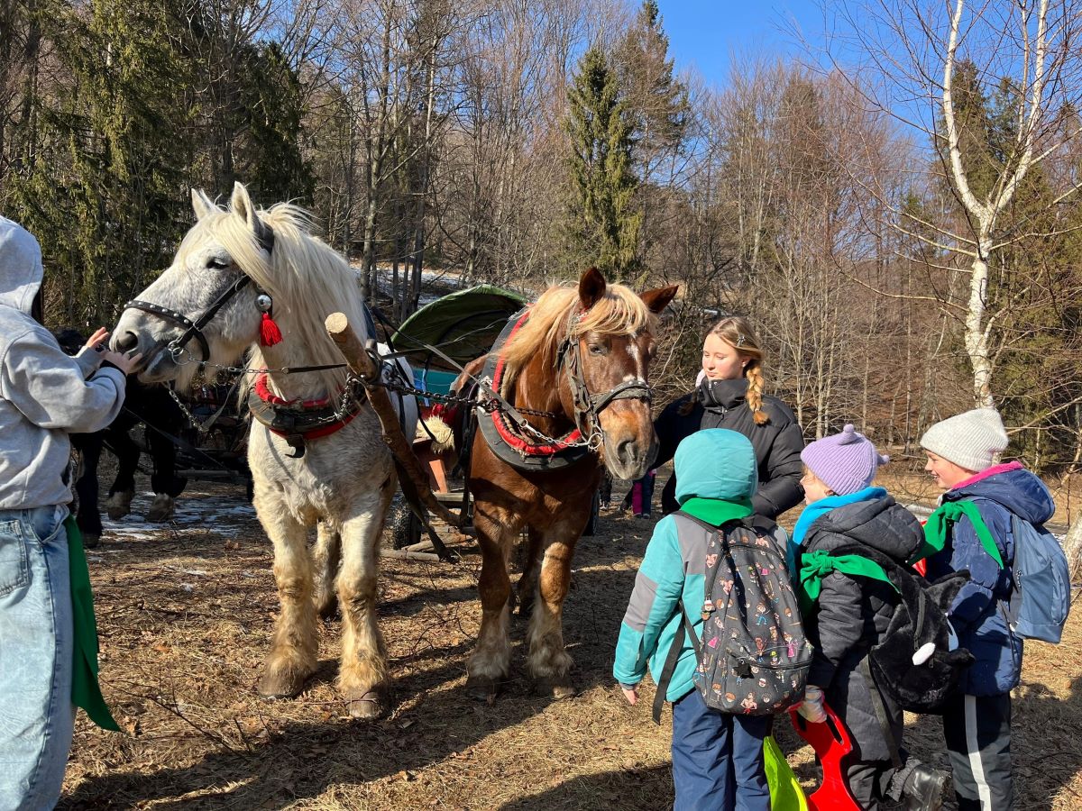 Ferie z urzędem: dzieci z Pyskowic biorą udział w wycieczkach!