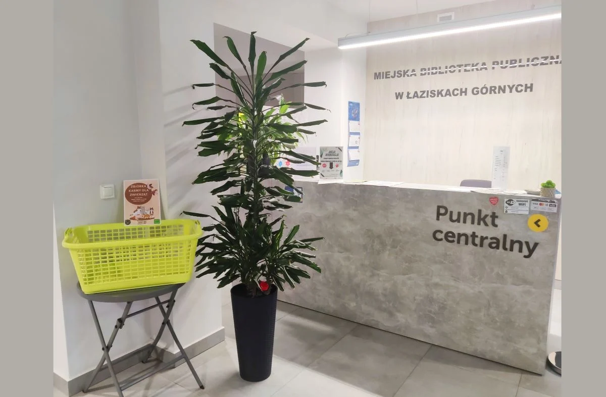 Ferie z pomocą dla zwierząt – trwa zbiórka karmy w Miejskiej Bibliotece Publicznej