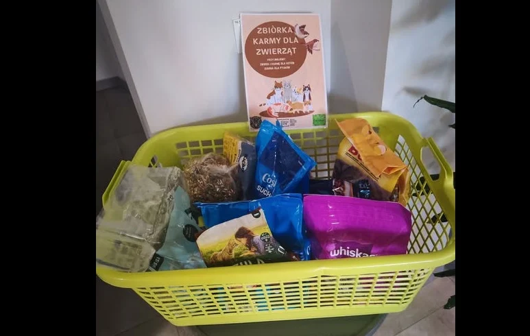 W bibliotece trwa zbiórka karmy dla potrzebujących zwierząt