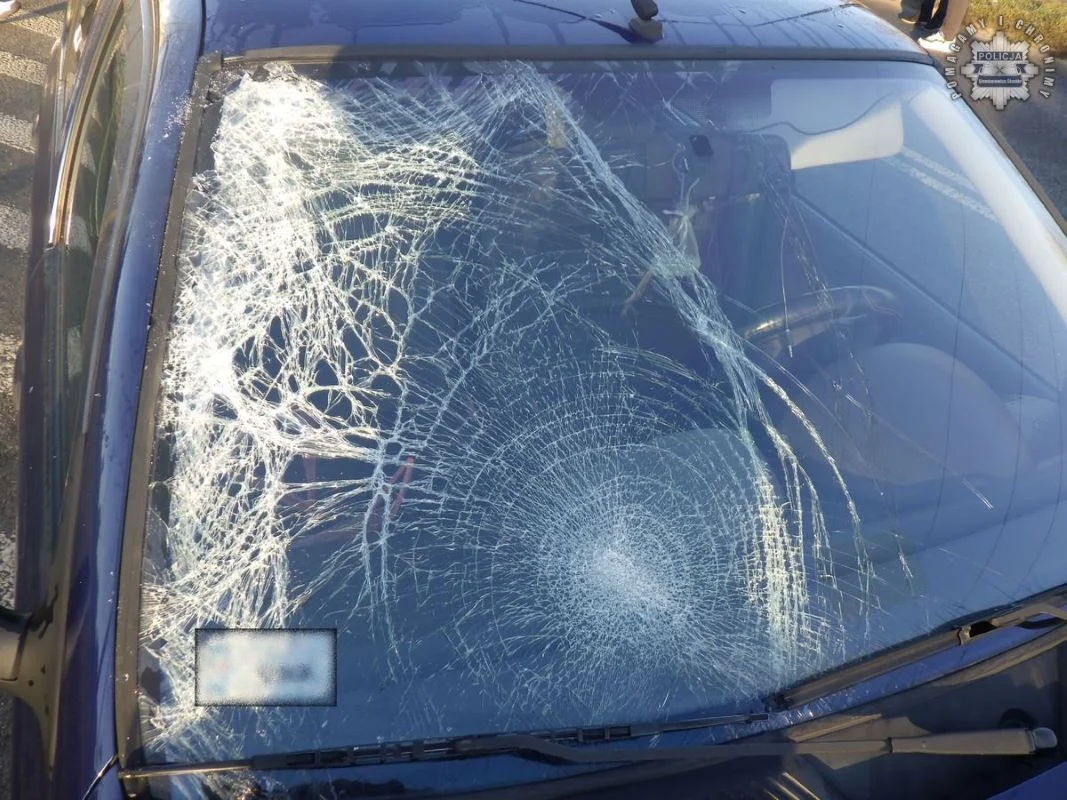 Wypadek na przejściu dla pieszych: kierowca oślepiony przez słońce