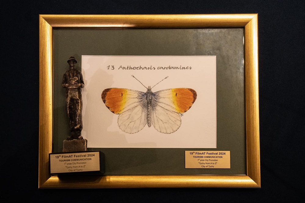 Film o Tychach nagrodzony na międzynarodowym festiwalu