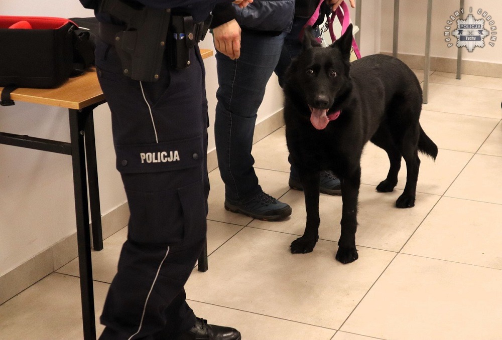 Policyjna prelekcja w Tychach – młodzież spotkała psa do wykrywania narkotyków