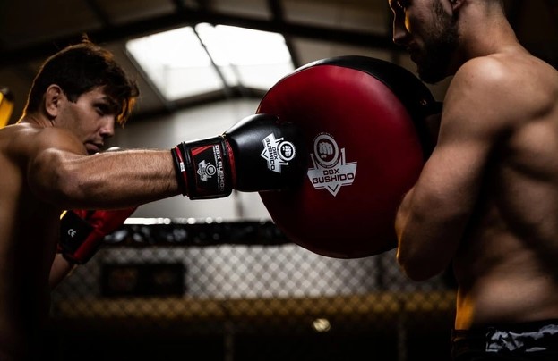 Sporty walki dla początkującego. Co warto widzieć?