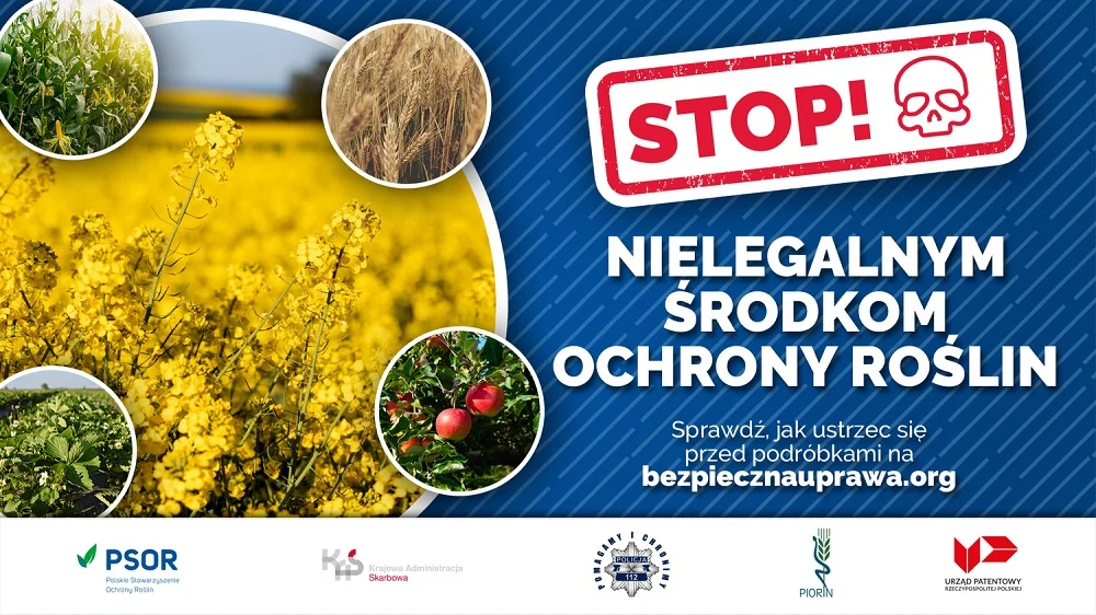 Uwaga na podróbki! Rolnicy tracą plony przez nielegalne środki ochrony roślin