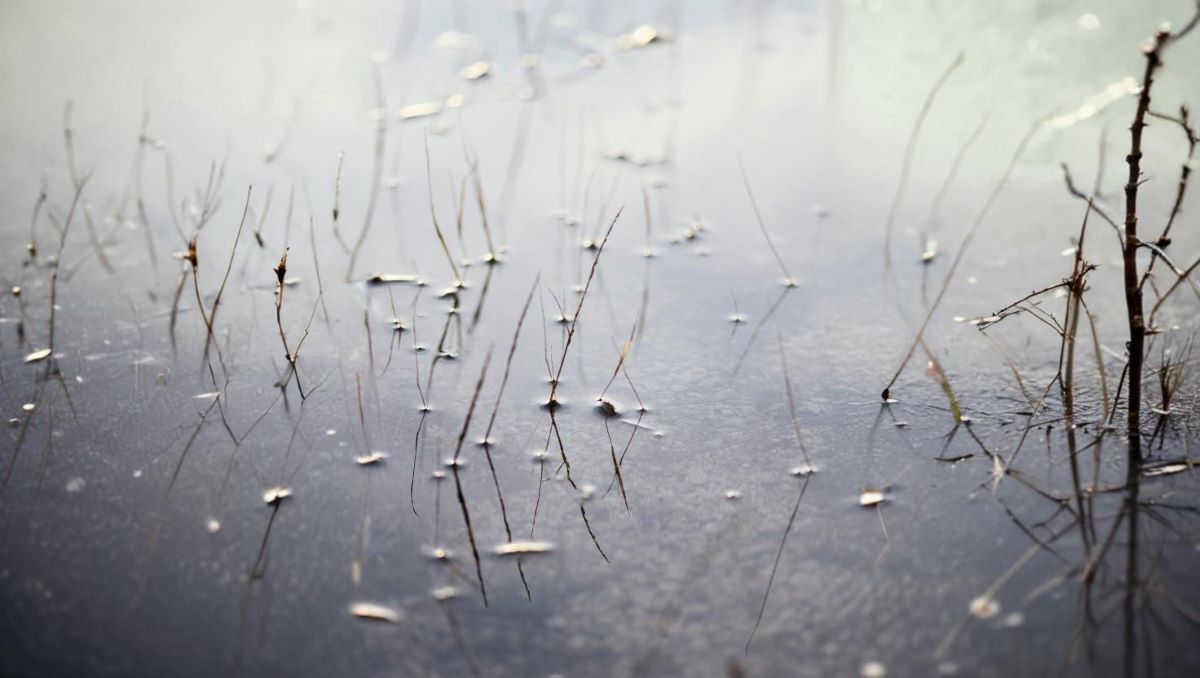 Cienki lód, wielkie ryzyko. Lekkomyślność może kosztować życie!