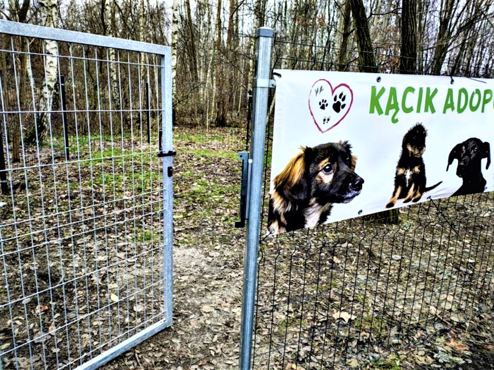 W gliwickim schronisku jest już kącik adopcyjny