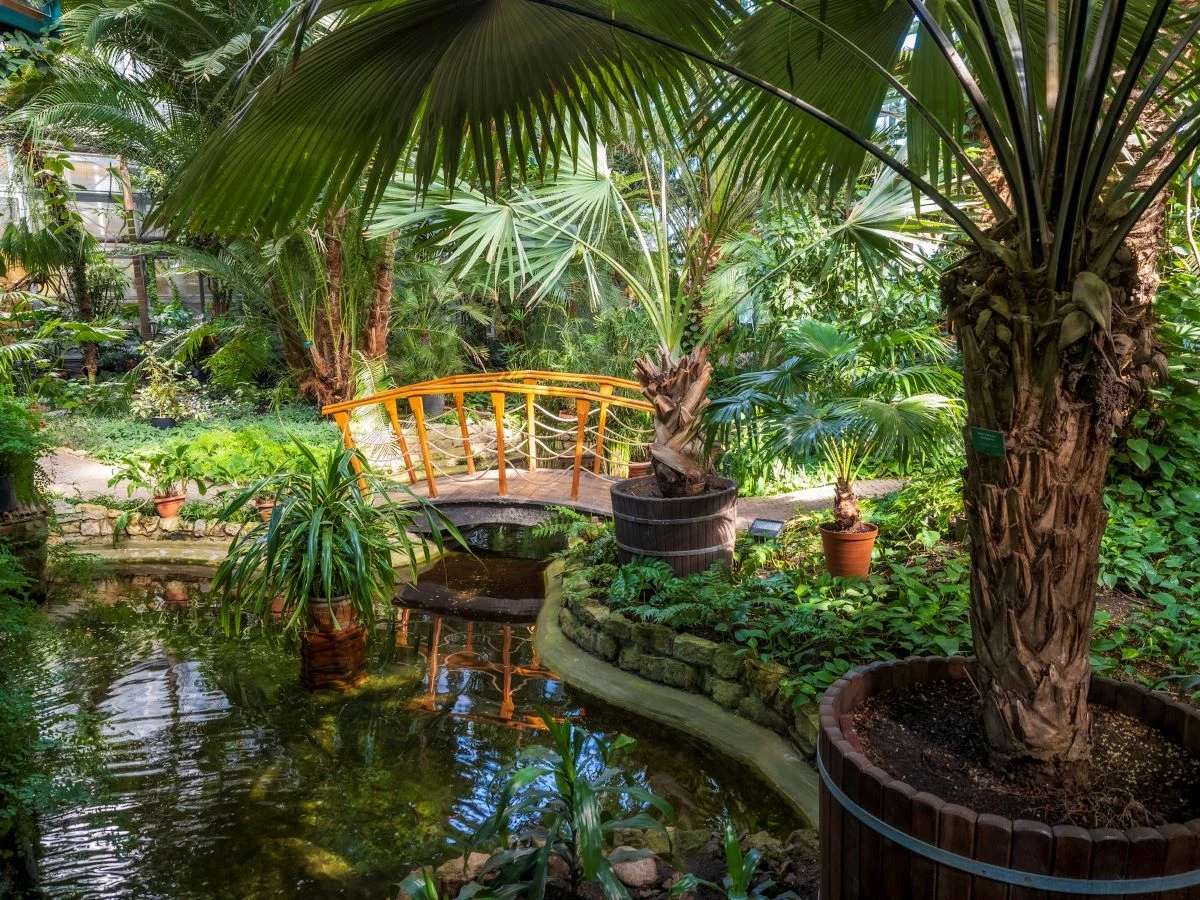 Pracowali pięć lat, żebyście mogli to zobaczyć. Uczniowie zapraszają do Palmiarni