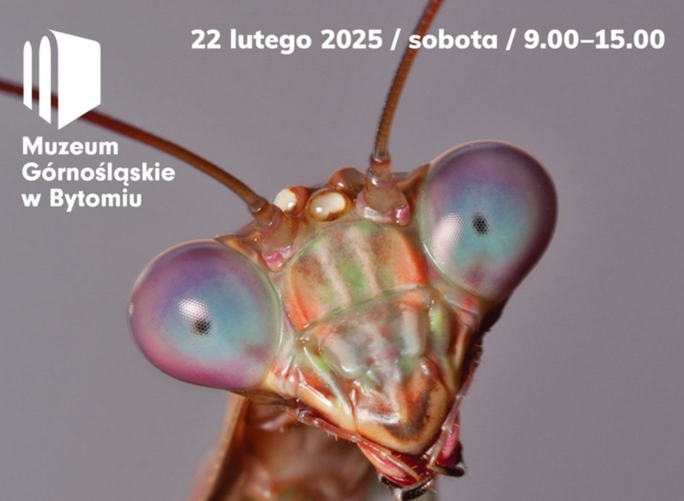 Owady z całego świata w Bytomiu! Pierwsze takie targi już w sobotę!