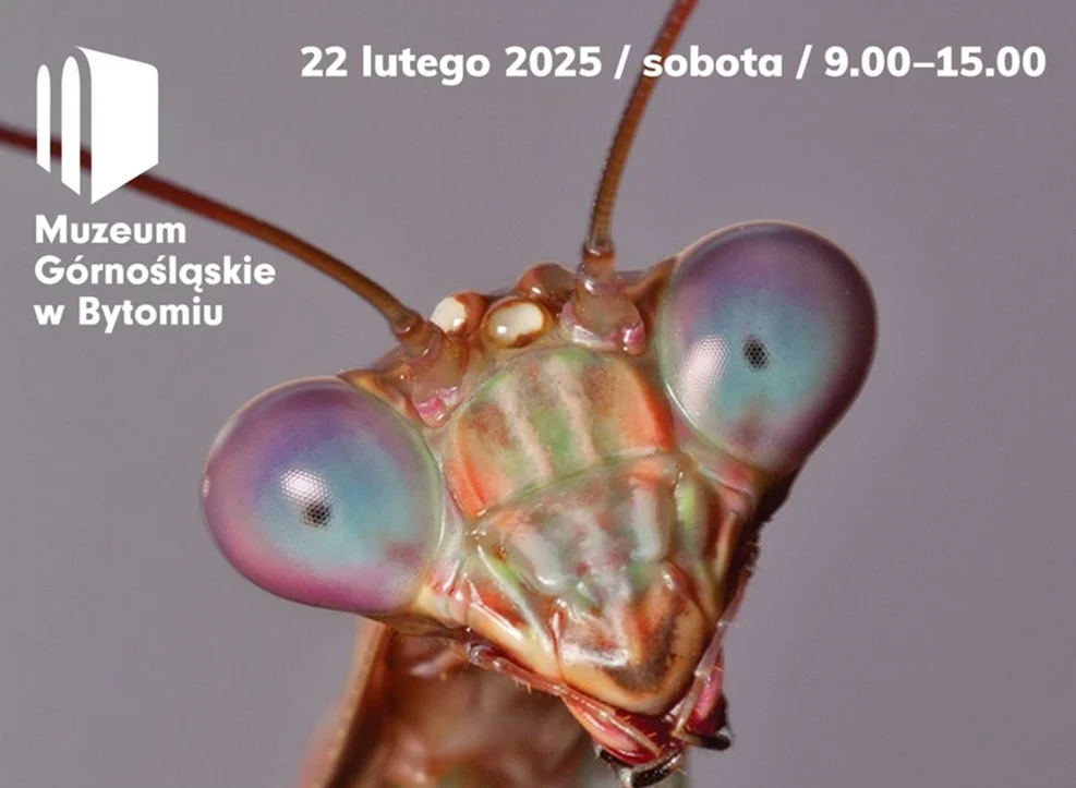 Owady z całego świata w Bytomiu! Pierwsze takie targi już w sobotę!