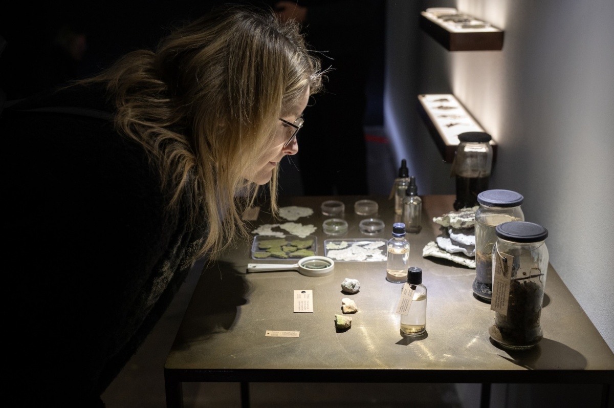 Żabie Doły oczami artystów. Niezwykła wystawa w CSW Kronika!