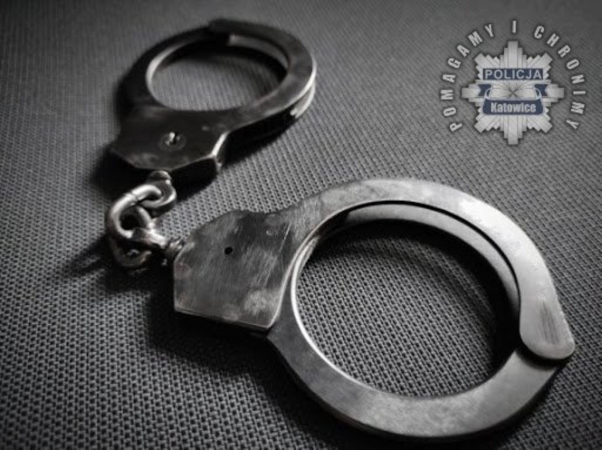 Katowiccy kryminalni rozpracowali seryjnego złodzieja. Usłyszał akt oskarżenia