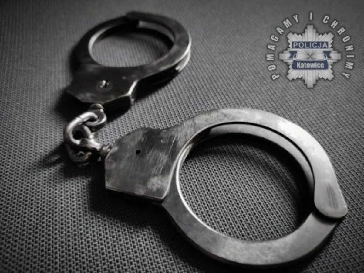 Katowiccy kryminalni rozpracowali seryjnego złodzieja. Usłyszał akt oskarżenia